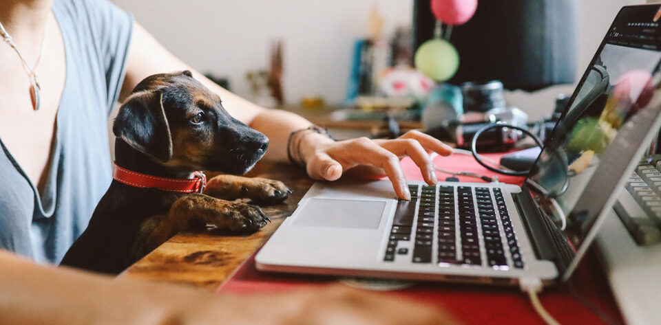 Flexible workplace arrangements might be the way to go for businesses