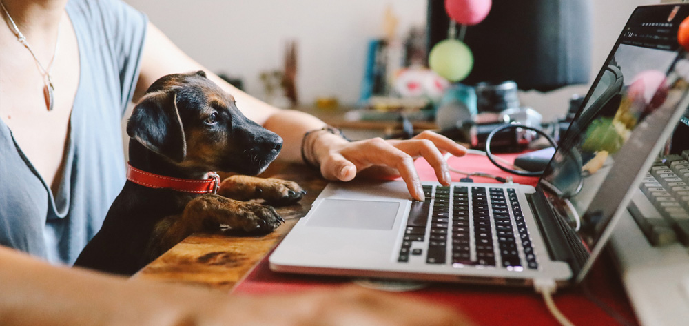 Flexible workplace arrangements might be the way to go for businesses