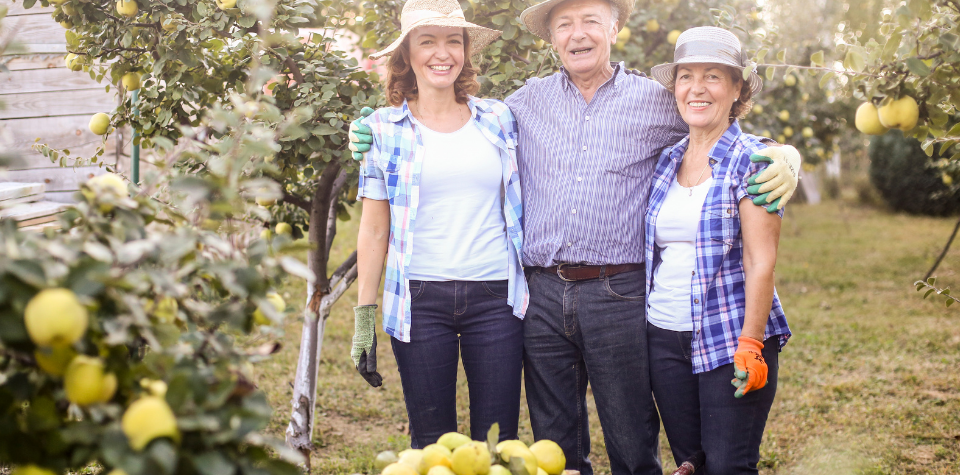 What You Need To Keep In Mind When Succession Planning For The Family Business