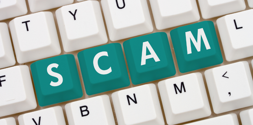 How To Avoid Becoming A Victim Of A Ponzi Scheme